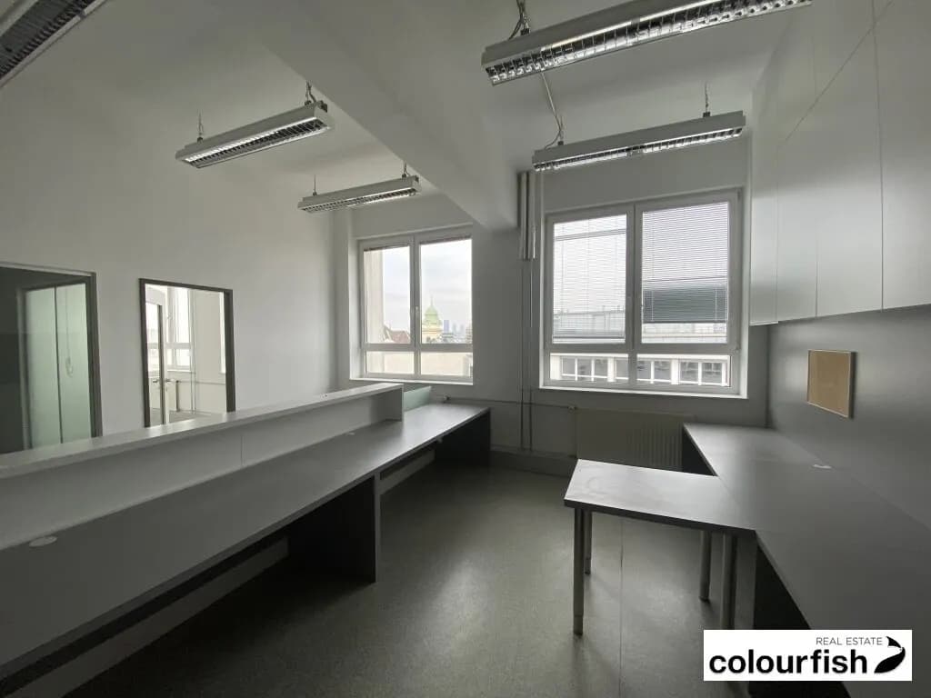 Gewerbeimmobilie mieten in Wien – 638 m², € 11.542 – Bild 7 von 11