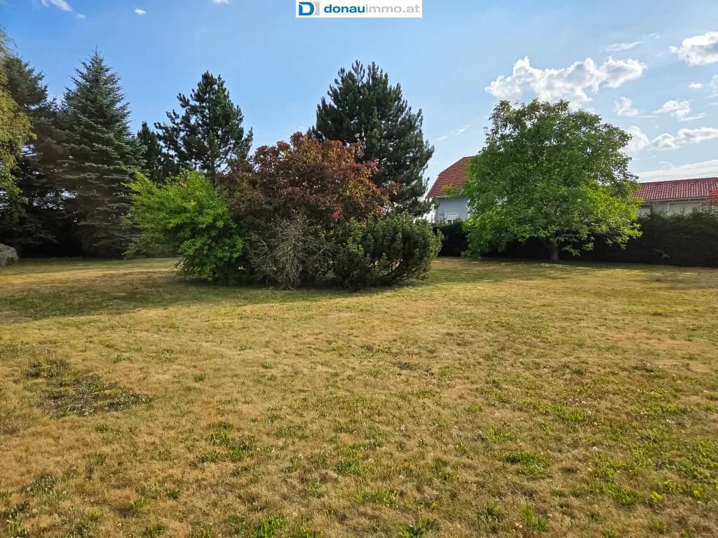 Immobilie kaufen in Gmünd – 1 431 m², € 50.085 – Bild 6 von 9