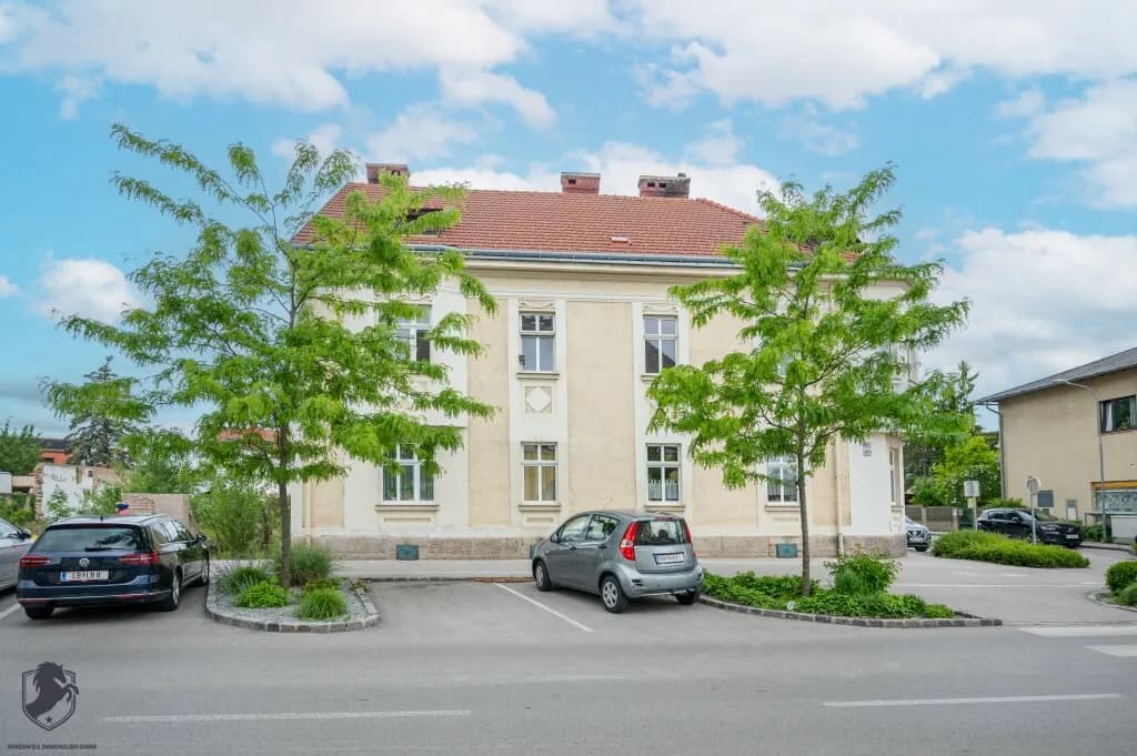 8-Zimmer-Gewerbeimmobilie kaufen in Baden – 253,81 m² – Bild 3 von 83