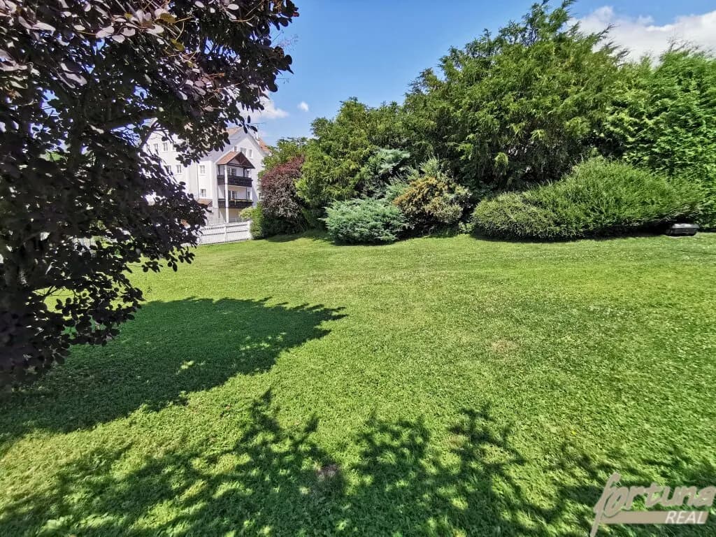 10-Zimmer-Gewerbeimmobilie kaufen in Wiener Neustadt Land – 220 m², € 329.000 – Bild 17 von 38