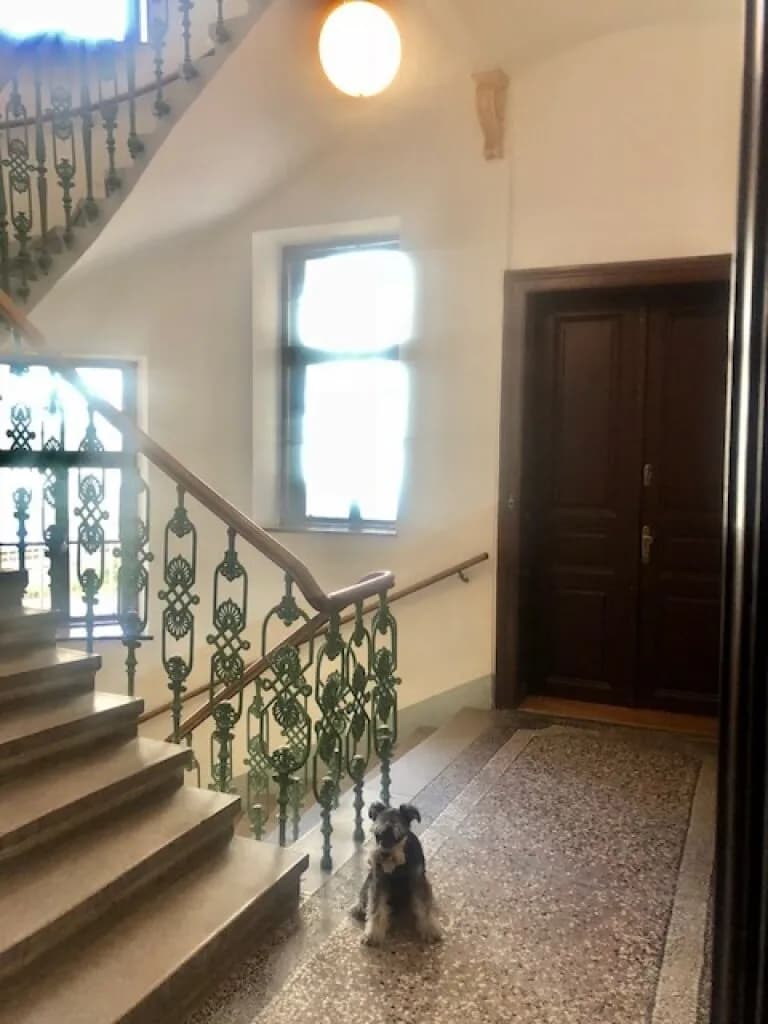 3-Zimmer-Gewerbeimmobilie mieten in Wien – 61 m², € 816 – Bild 4 von 32