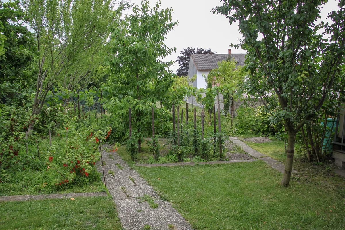 Haus kaufen in Neusiedl am See – 248 m², € 750.000 – Bild 4 von 31
