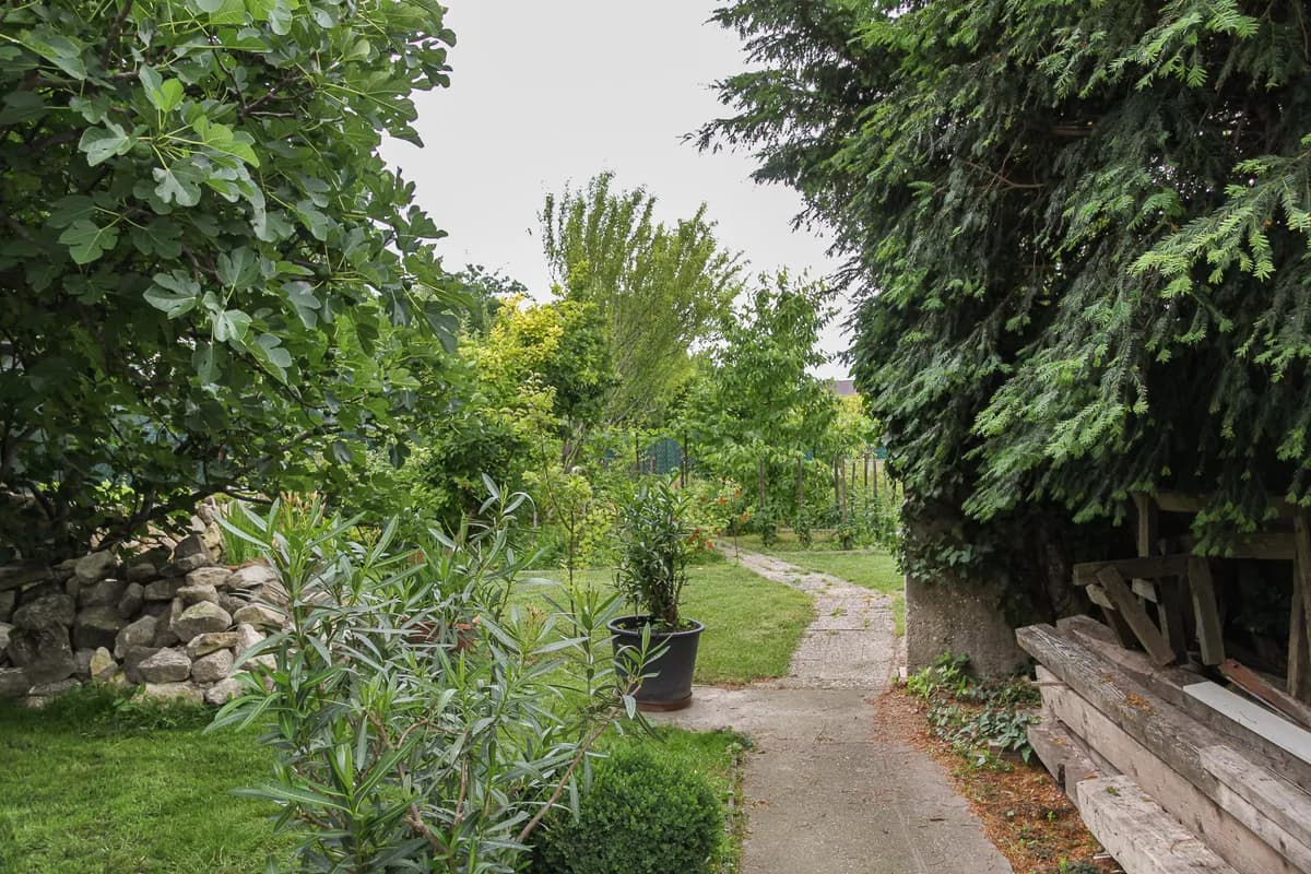 Haus kaufen in Neusiedl am See – 248 m², € 750.000 – Bild 31 von 31