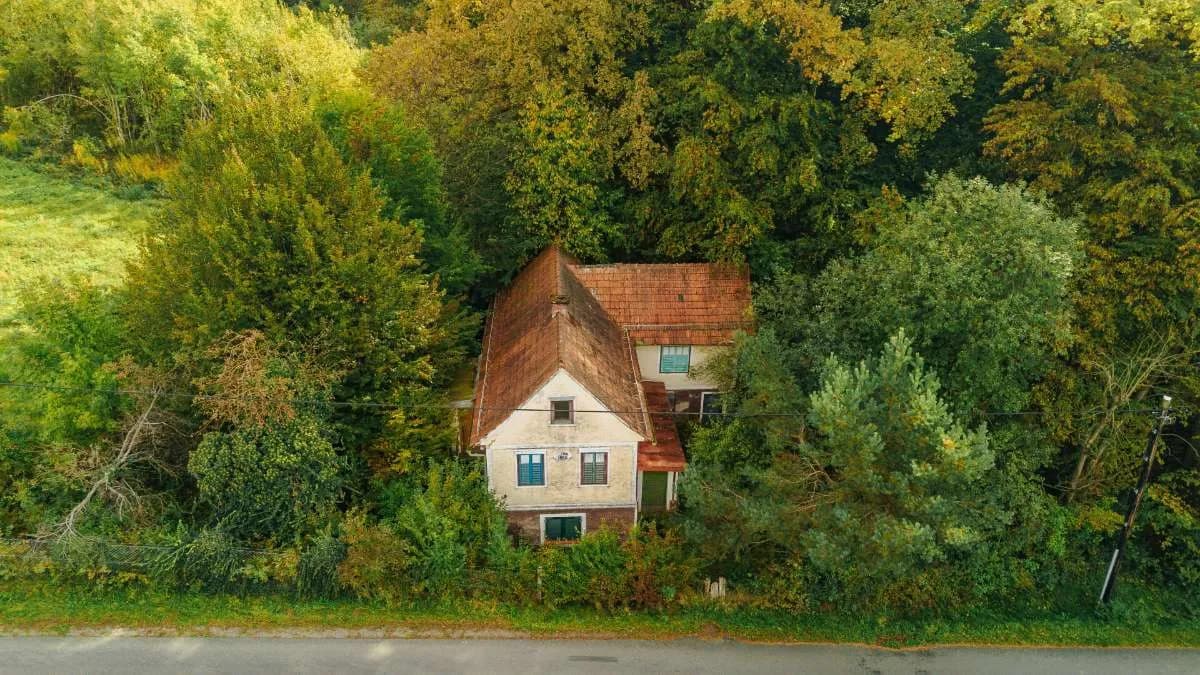 Grundstück kaufen in Leibnitz – 2 798 m², € 200.000 – Bild 5 von 14