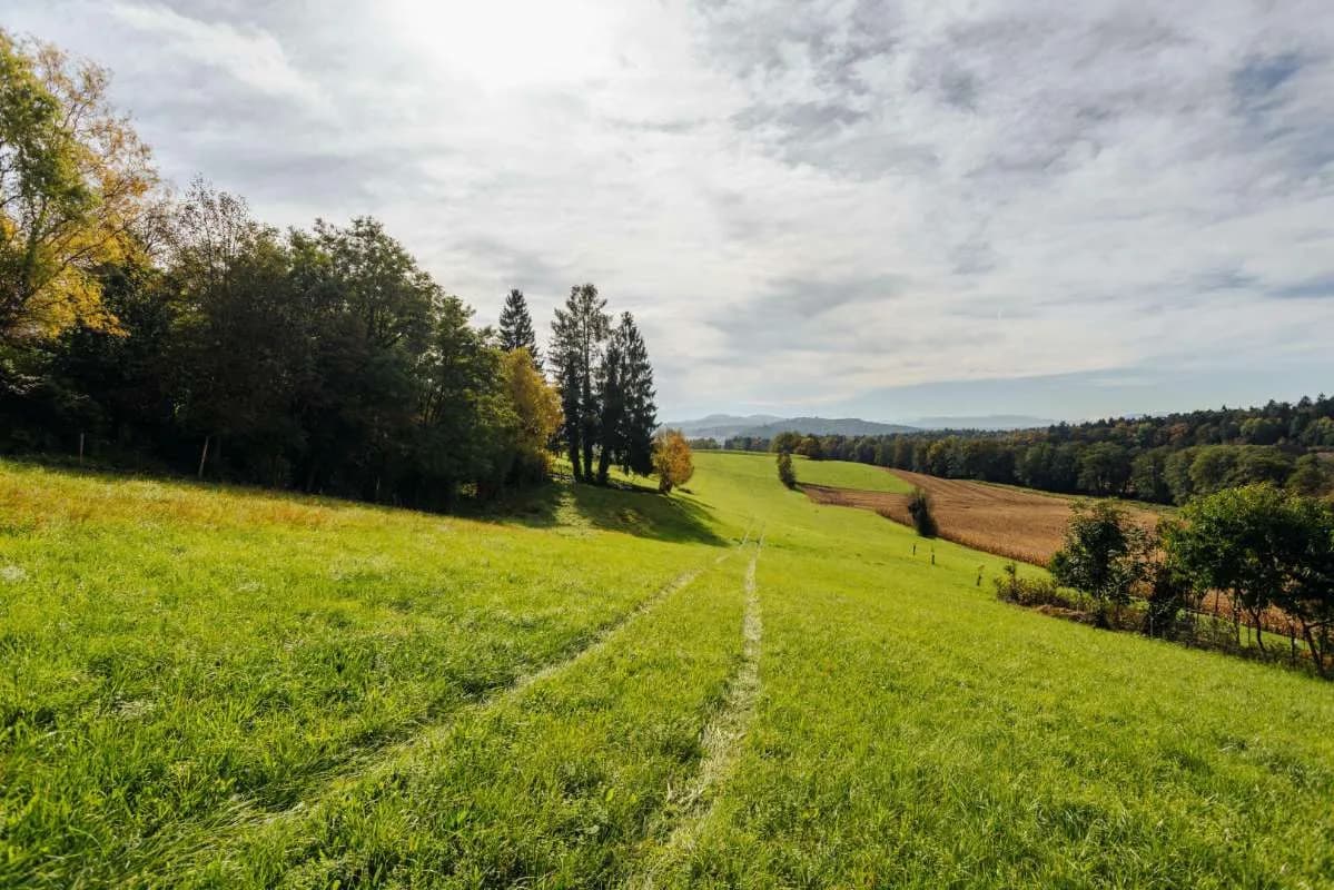 Grundstück kaufen in Leibnitz – 2 798 m², € 200.000 – Bild 9 von 14
