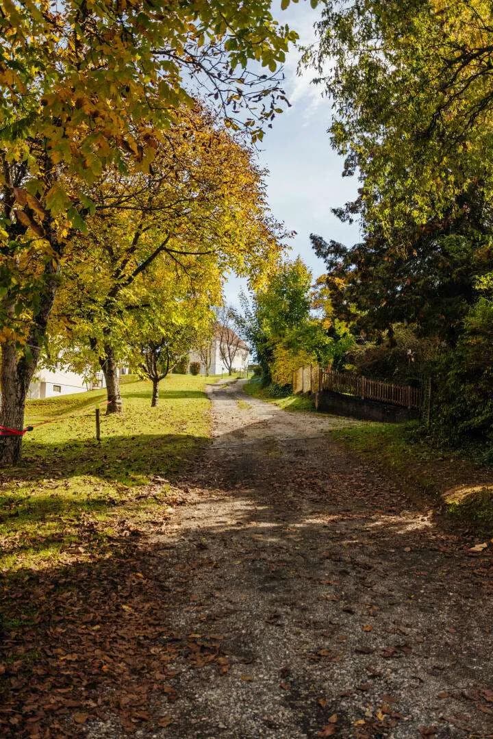 Grundstück kaufen in Leibnitz – 2 798 m², € 200.000 – Bild 14 von 14