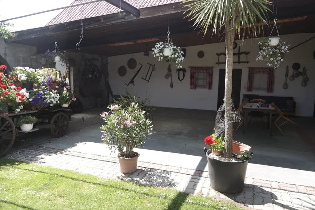 7-Zimmer-Haus kaufen in Güssing – 244 m², € 210.000 – Bild 2 von 38