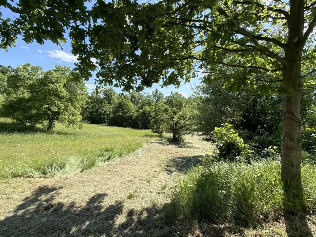 7-Zimmer-Haus kaufen in Güssing – 244 m², € 210.000 – Bild 28 von 38