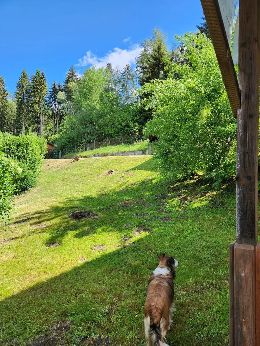 6-Zimmer-Haus kaufen in Murau – 188 m², € 290.000 – Bild 6 von 13
