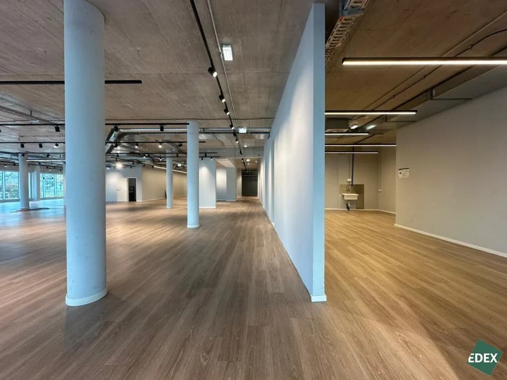 Gewerbeimmobilie mieten in Mödling – 790 m², € 11.970 – Bild 10 von 17