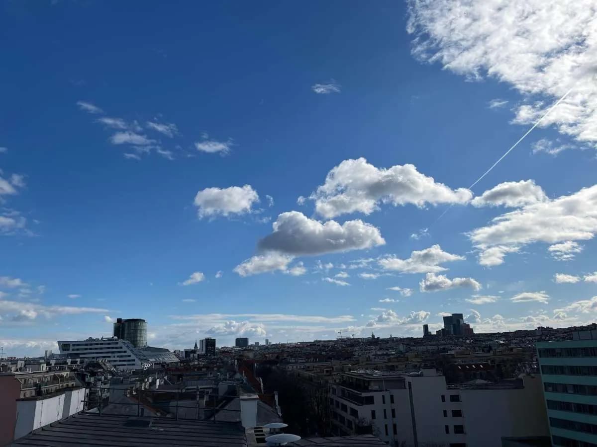 Wohnung kaufen in Wien – 343 m², € 1.690.000 – Bild 10 von 39