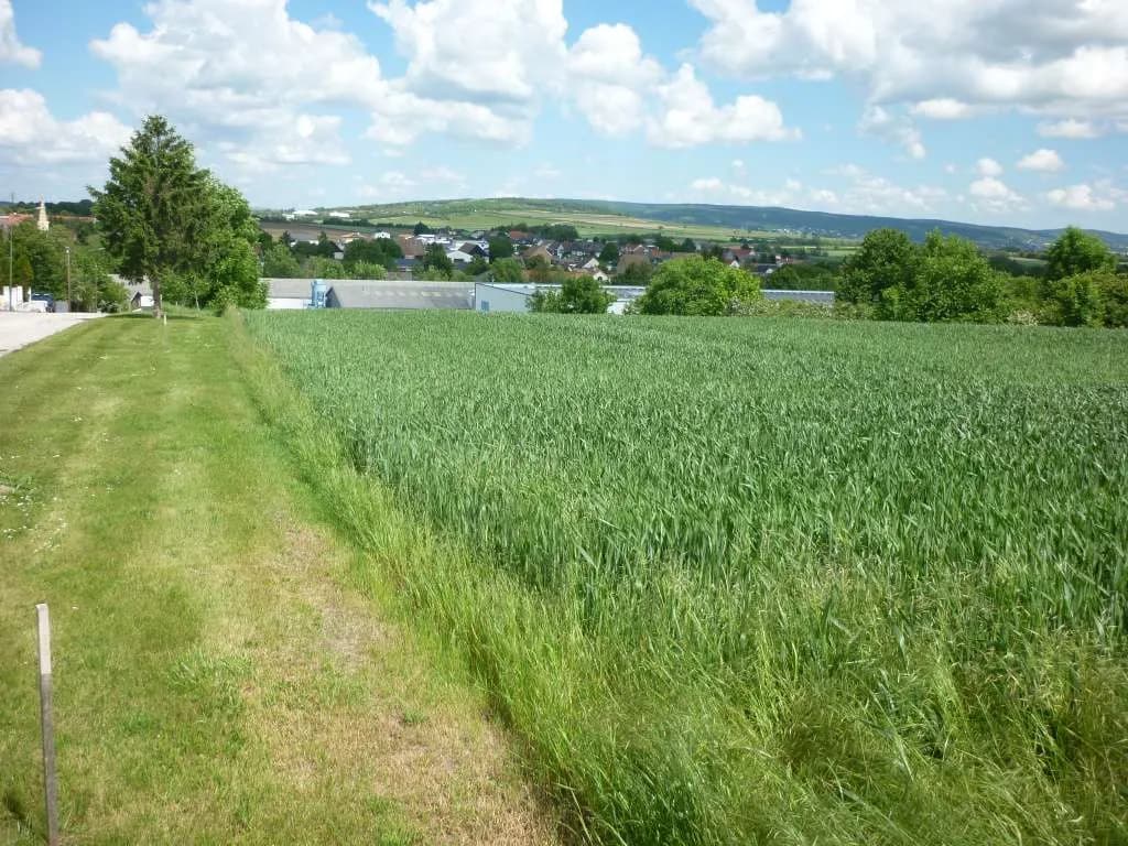 Grundstück kaufen in Mattersburg – 398 m², € 79.500 – Bild 2 von 13