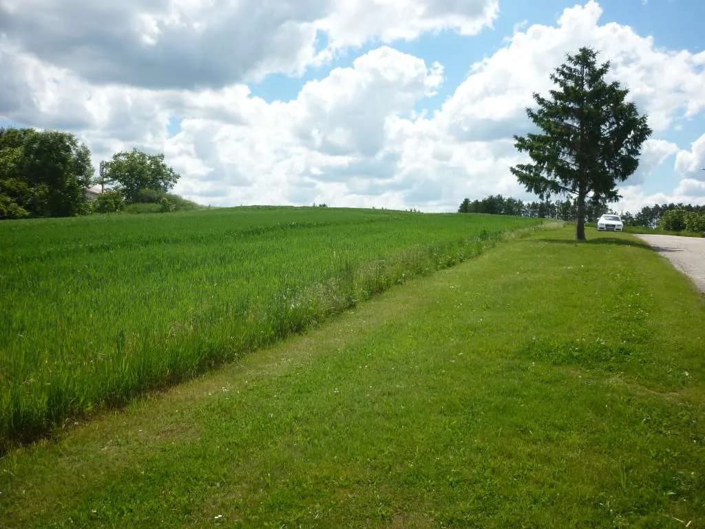 Grundstück kaufen in Mattersburg – 398 m², € 79.500 – Bild 5 von 13
