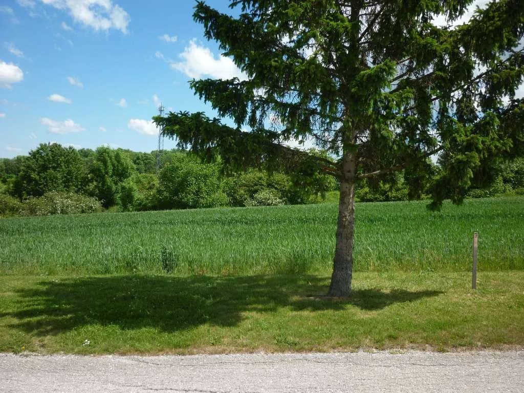 Grundstück kaufen in Mattersburg – 398 m², € 79.500 – Bild 6 von 13