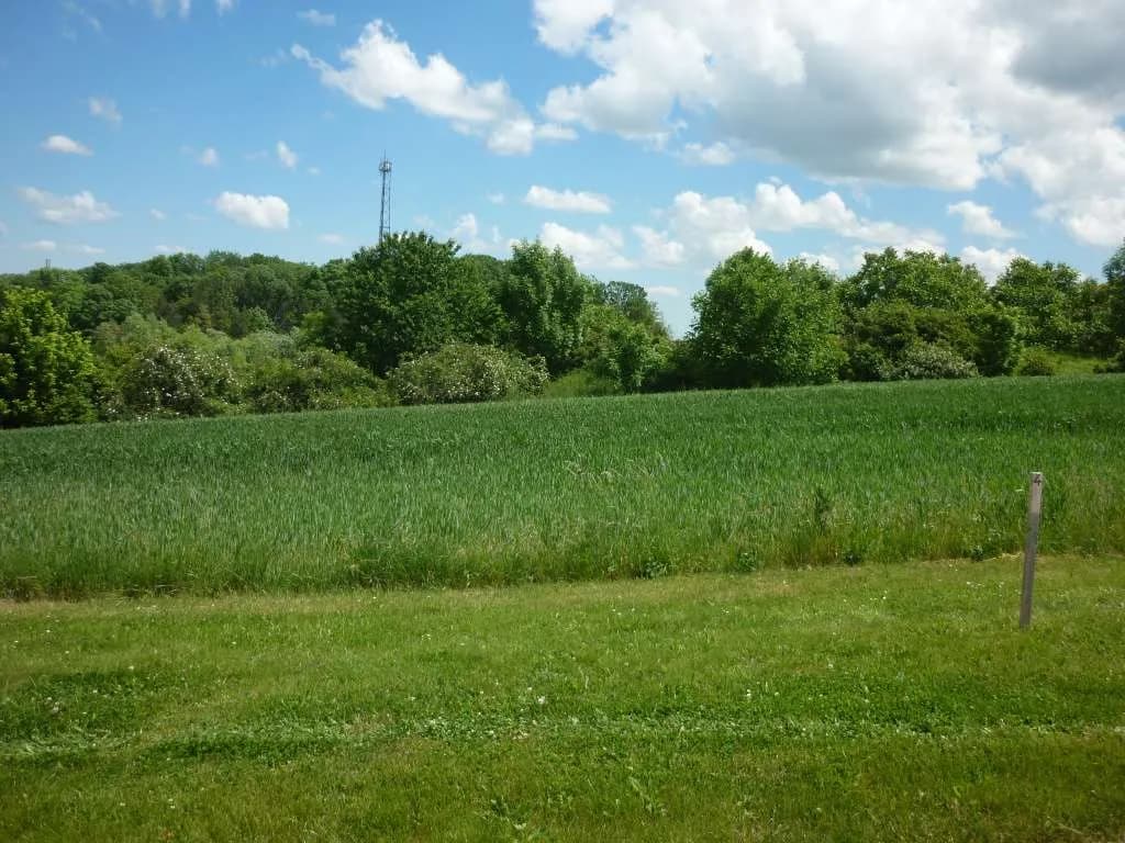 Grundstück kaufen in Mattersburg – 398 m², € 79.500 – Bild 7 von 13