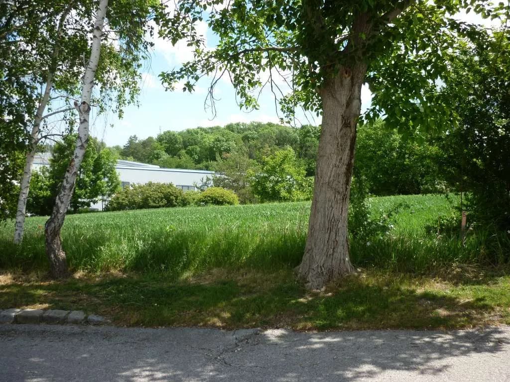 Grundstück kaufen in Mattersburg – 398 m², € 79.500 – Bild 8 von 13