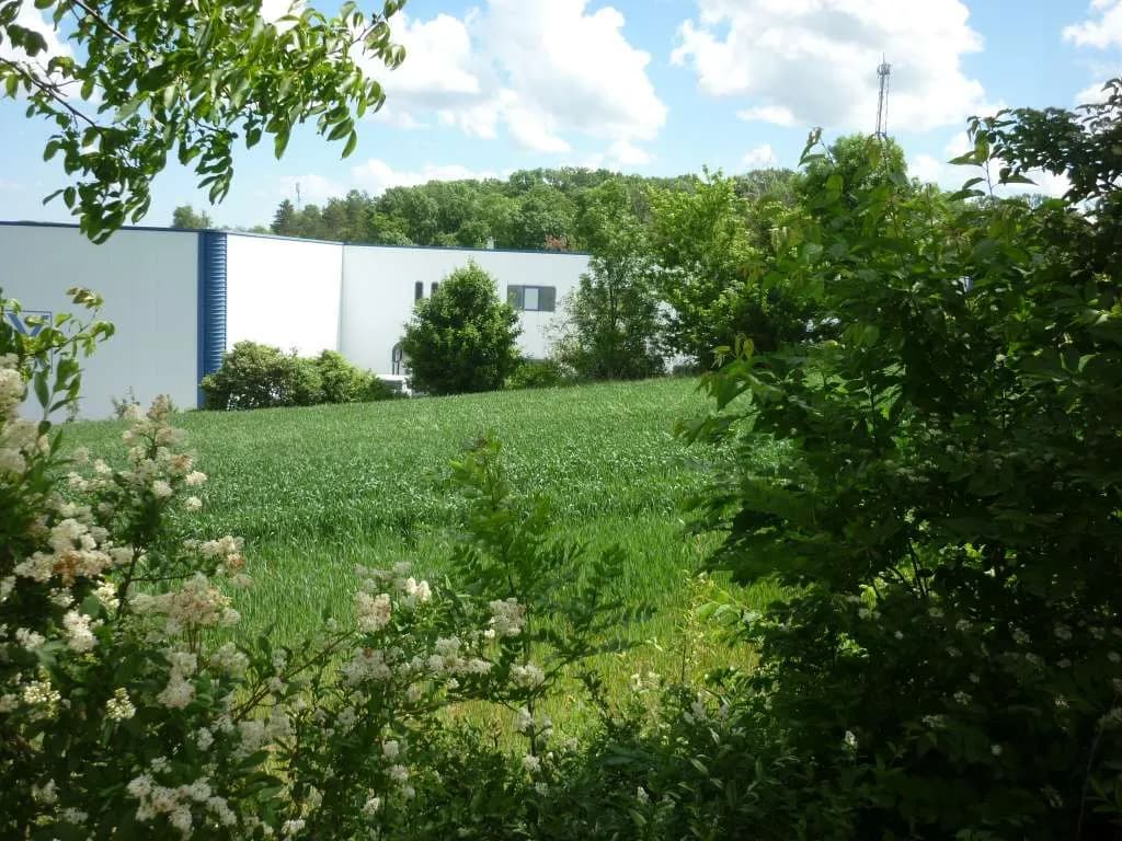 Grundstück kaufen in Mattersburg – 398 m², € 79.500 – Bild 11 von 13