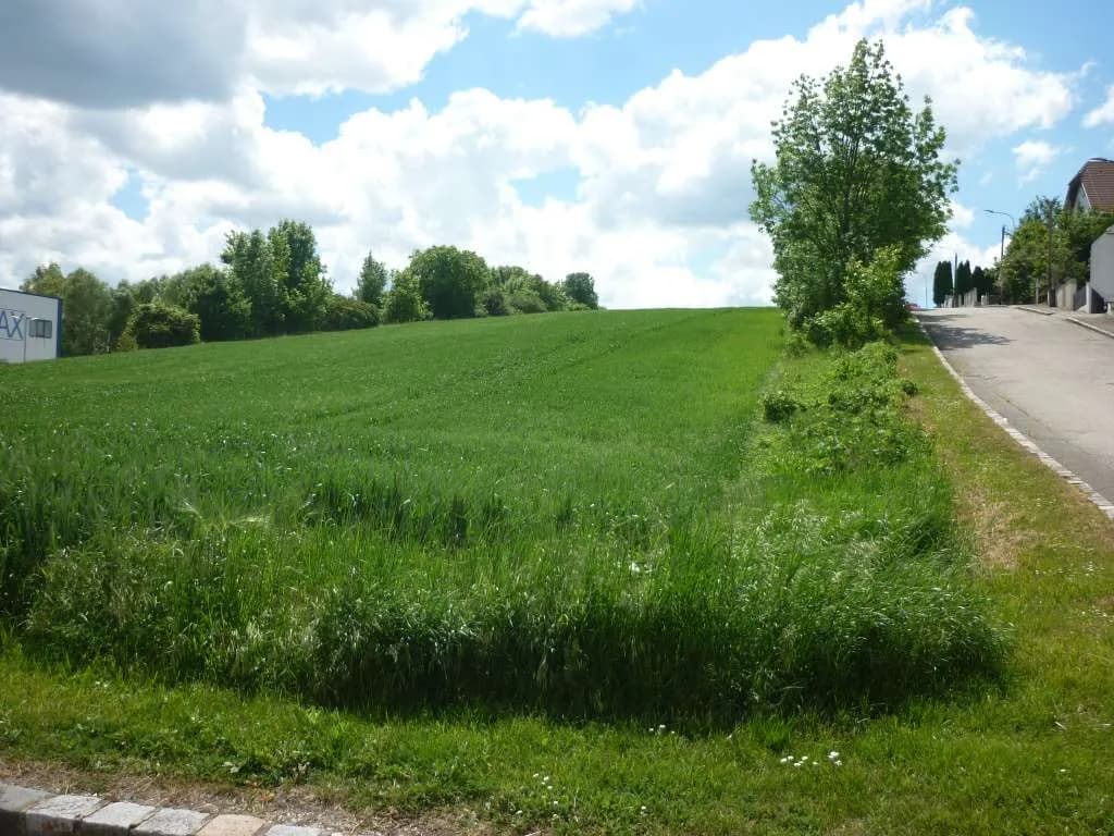 Grundstück kaufen in Mattersburg – 398 m², € 79.500 – Bild 12 von 13