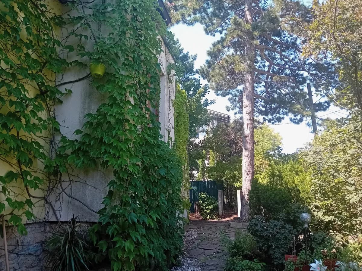 6-Zimmer-Haus mieten in Mödling – 200 m², € 2.980 – Bild 8 von 22