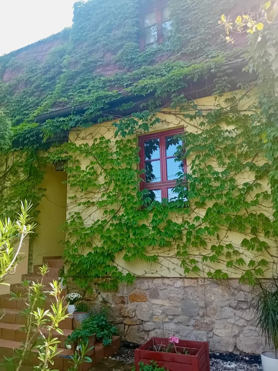 6-Zimmer-Haus mieten in Mödling – 200 m², € 3.000 – Bild 34 von 39
