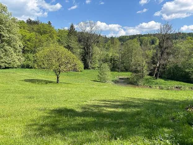 Haus kaufen in Graz-Umgebung – 330 m², € 995.000 – Bild 3 von 5