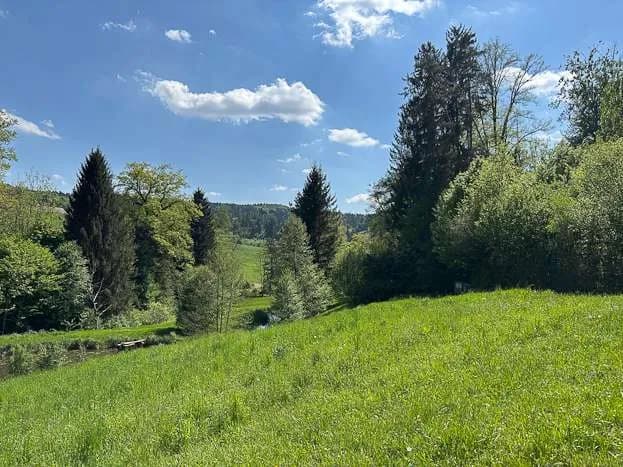 Haus kaufen in Graz-Umgebung – 330 m², € 995.000 – Bild 4 von 5