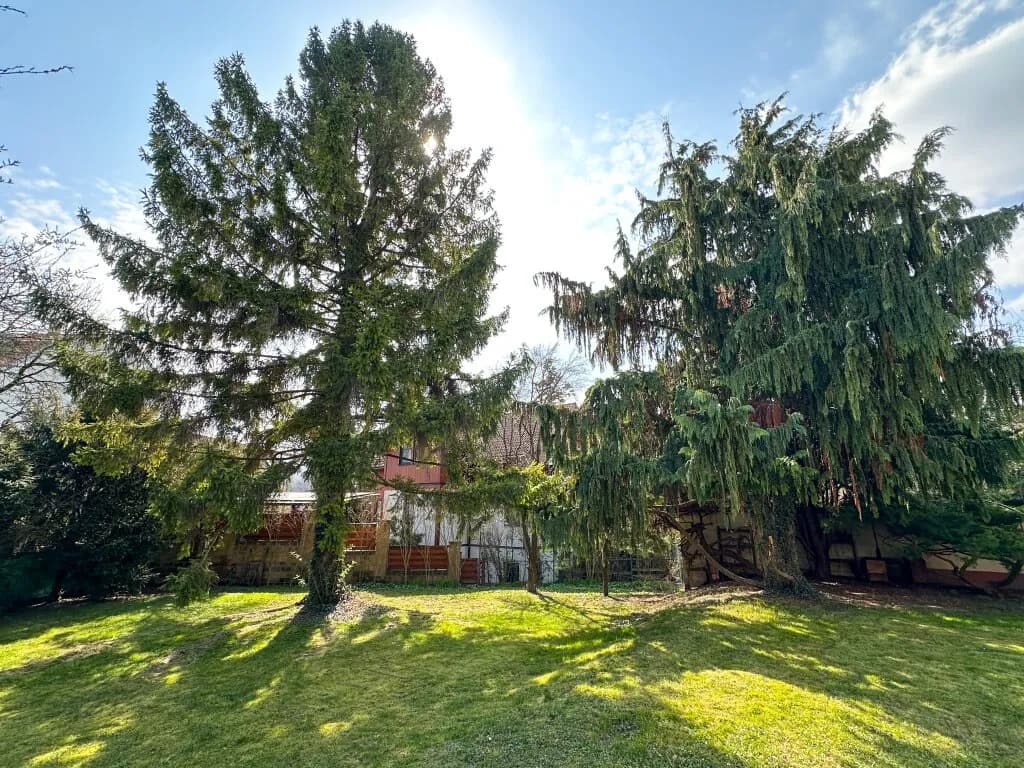 Haus kaufen in Wien – 150 m², € 740.000 – Bild 14 von 22