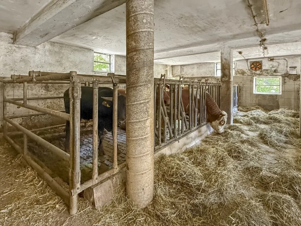 Grundstück kaufen in Wiener Neustadt Land – 186 m², € 490.000 – Bild 33 von 45