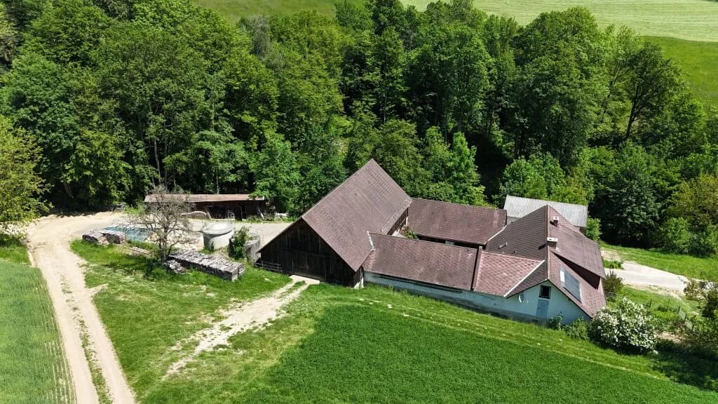 Grundstück kaufen in Wiener Neustadt Land – 186 m², € 490.000 – Bild 44 von 45
