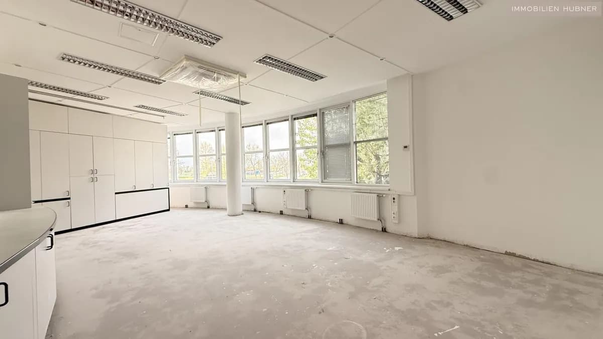 10-Zimmer-Gewerbeimmobilie mieten in Bruck an der Leitha – 353 m², € 4.402 – Bild 3 von 15