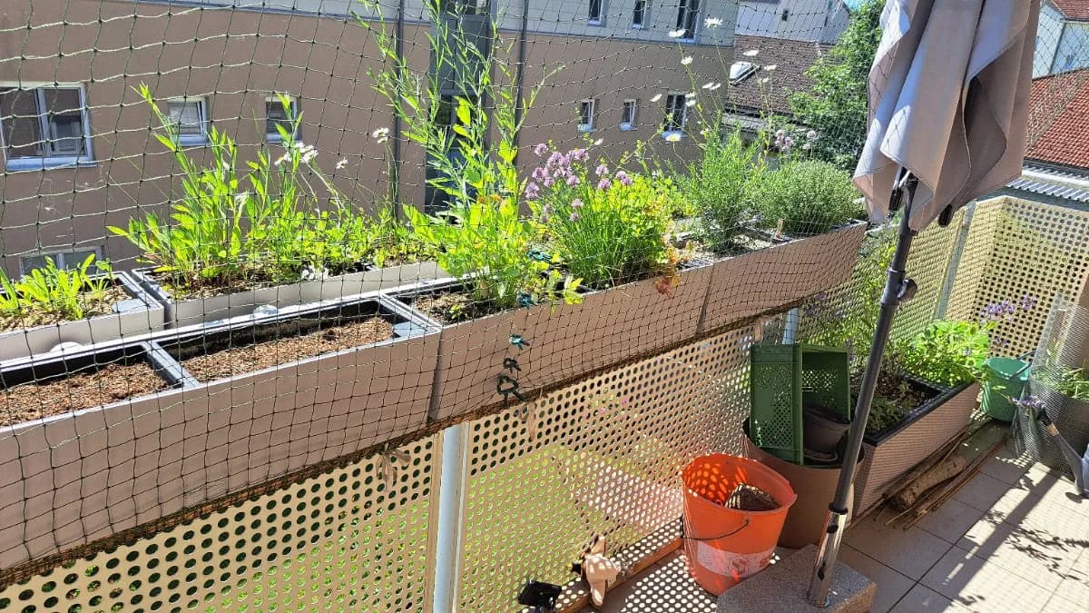 2-Zimmer-Wohnung mieten in Melk – 75 m², € 696 – Bild 5 von 12