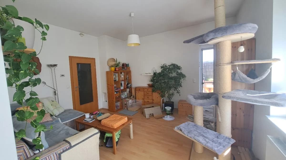 2-Zimmer-Wohnung mieten in Melk – 75 m², € 696 – Bild 7 von 12