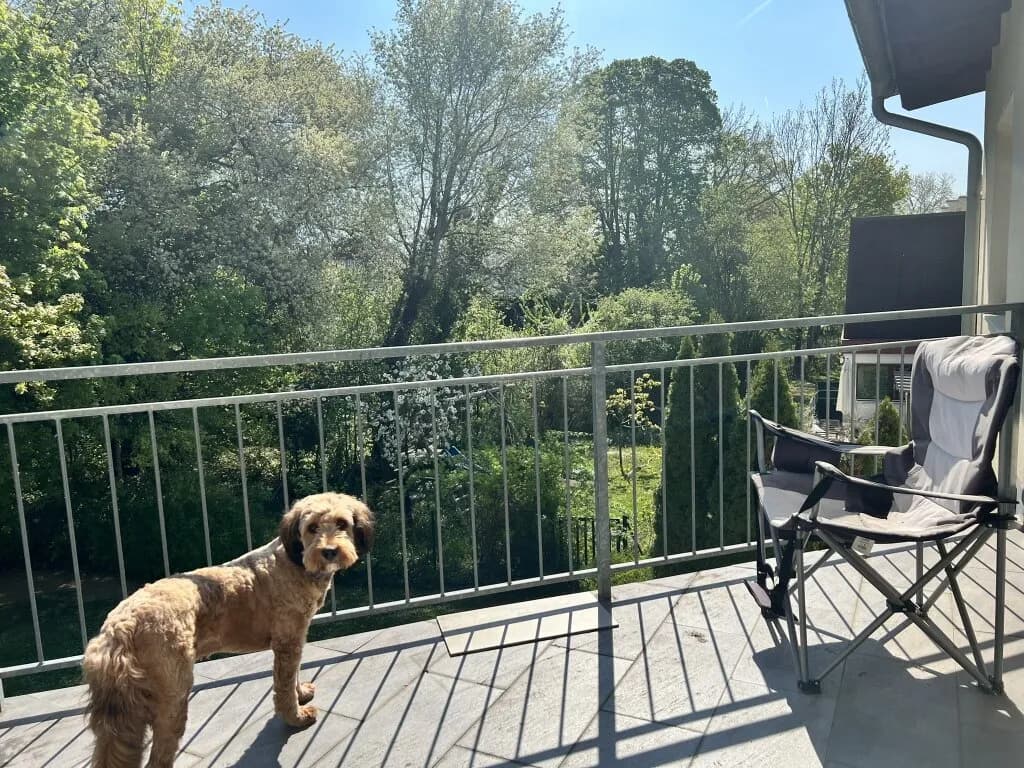 5-Zimmer-Haus kaufen in Baden – 195,16 m², € 1.690.000 – Bild 54 von 72