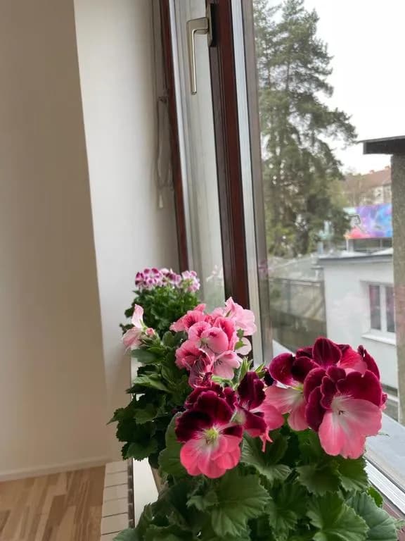 3-Zimmer-Wohnung kaufen in Graz – 90 m², € 221.500 – Bild 8 von 12