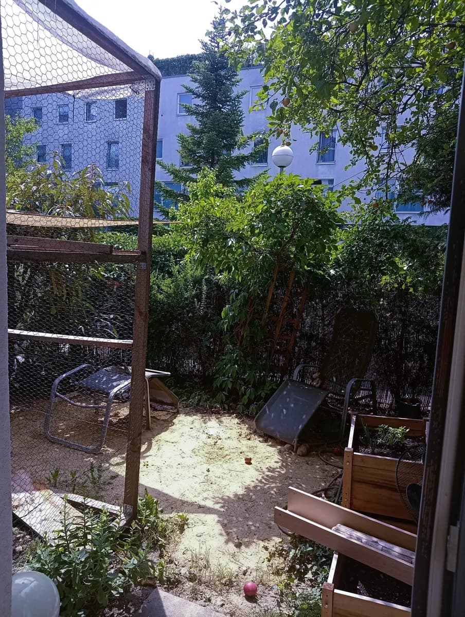 1-Zimmer-Wohnung mieten in Wien – 18 m², € 500 – Bild 2 von 3