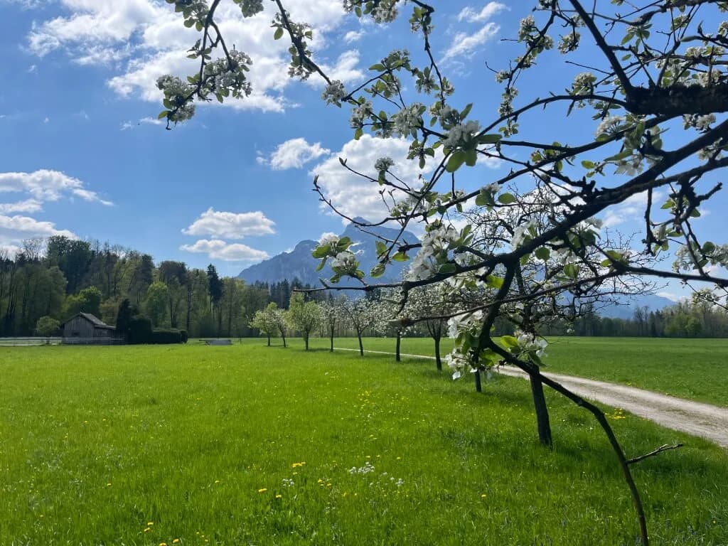Grundstück kaufen in Salzburg Stadt – 2 820 m², € 6.600.000 – Bild 2 von 8