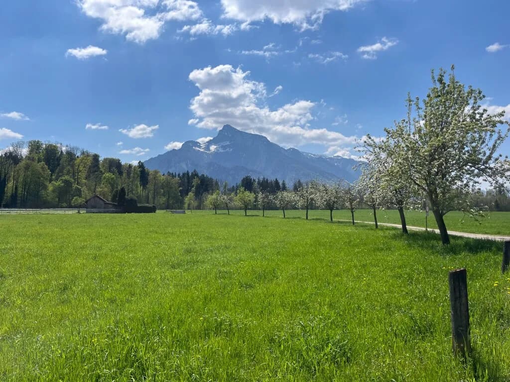 Grundstück kaufen in Salzburg Stadt – 2 820 m², € 6.600.000 – Bild 4 von 8