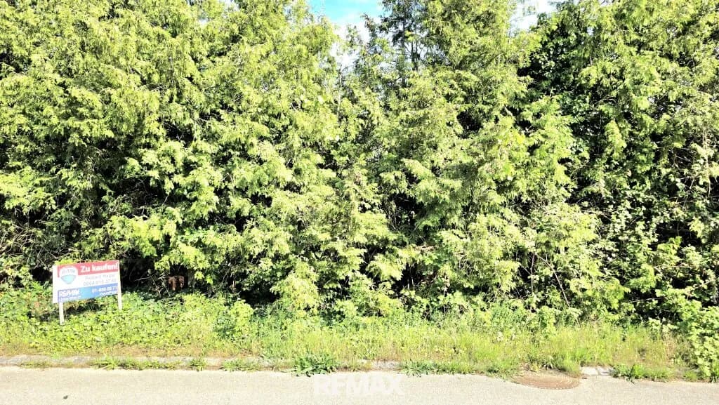 Grundstück kaufen in Neusiedl am See – 725 m², € 222.222 – Bild 4 von 12