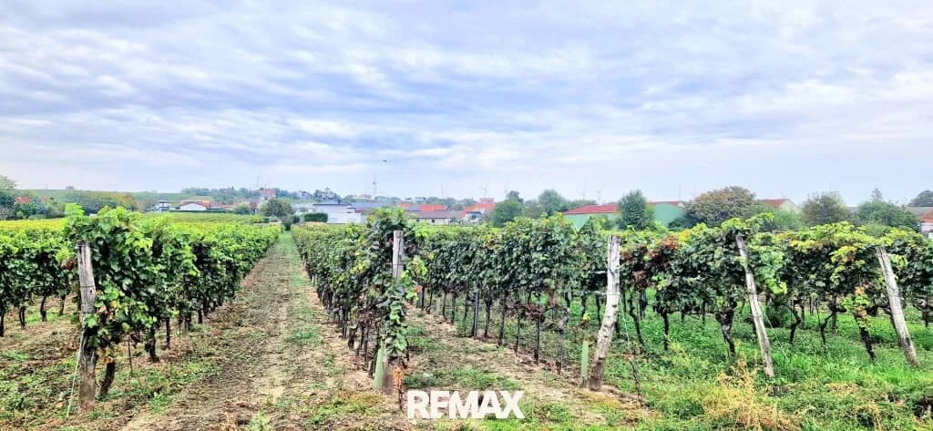 Grundstück kaufen in Neusiedl am See – 725 m², € 222.222 – Bild 14 von 16