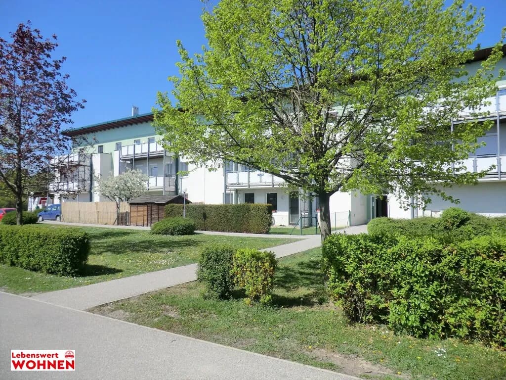 Immobilie mieten in Neusiedl am See – € 14