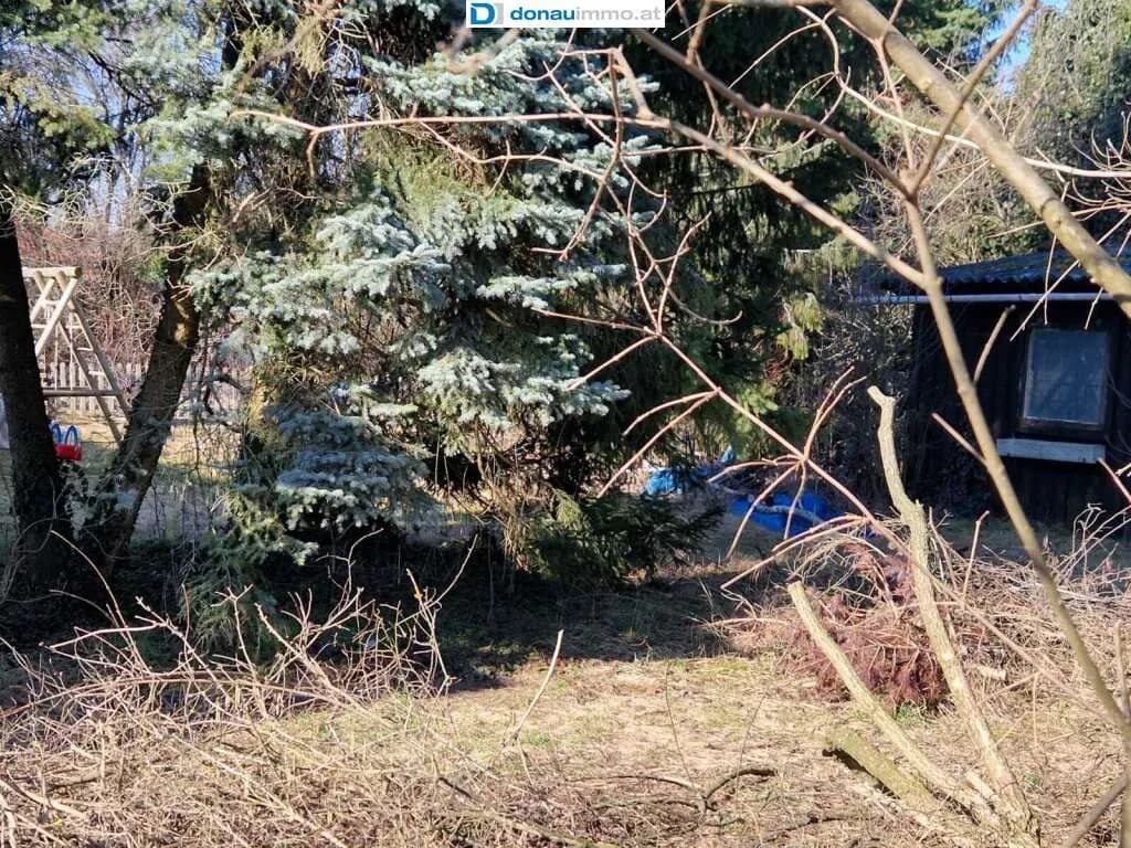 Grundstück kaufen in Neunkirchen – 778 m², € 198.000 – Bild 4 von 7