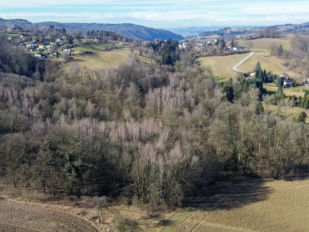 Grundstück kaufen in Linz Land – 100 651 m², € 4.513.585 – Bild 3 von 9