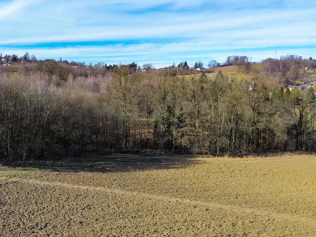 Grundstück kaufen in Linz Land – 100 651 m², € 4.513.585 – Bild 7 von 9
