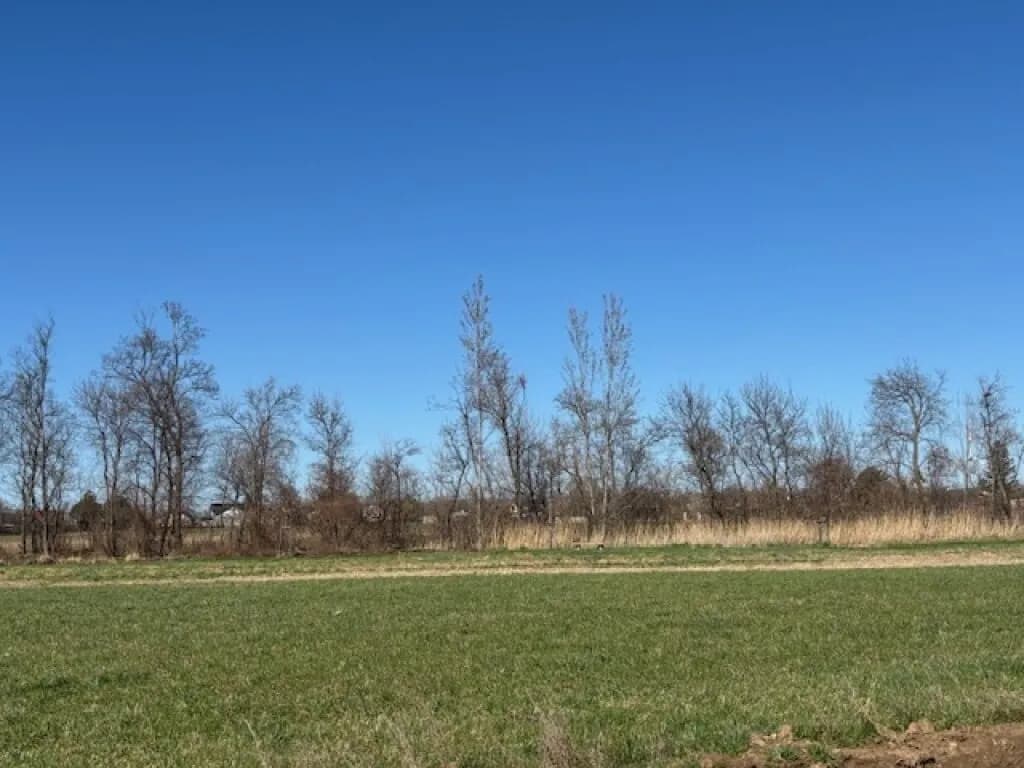 Grundstück kaufen in Neusiedl am See – 665 m², € 149.000
