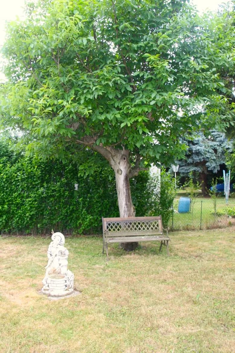 2-Zimmer-Haus kaufen in Tulln – 64 m², € 180.000 – Bild 12 von 17