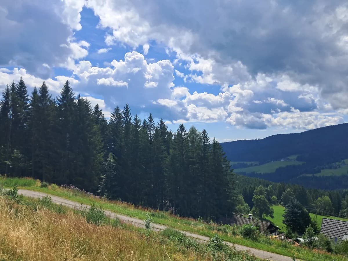 Grundstück kaufen in Deutschlandsberg – 1 186 m², € 65.000 – Bild 5 von 6