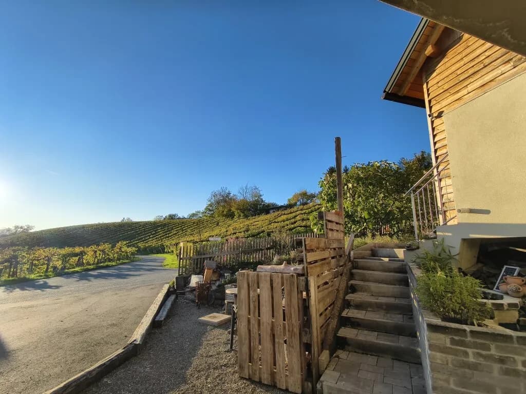 4-Zimmer-Haus kaufen in Leibnitz – 323 m², € 499.000 – Bild 4 von 32