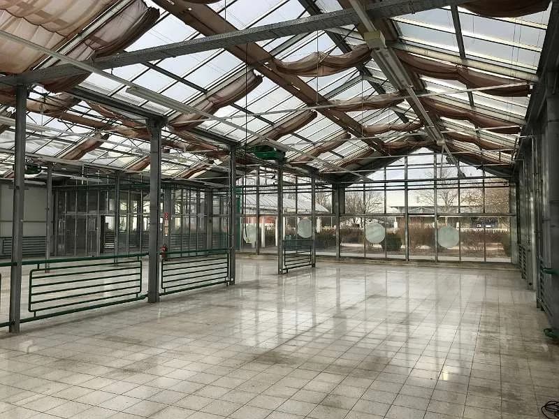 Gewerbeimmobilie mieten in Graz – 848 m², € 3