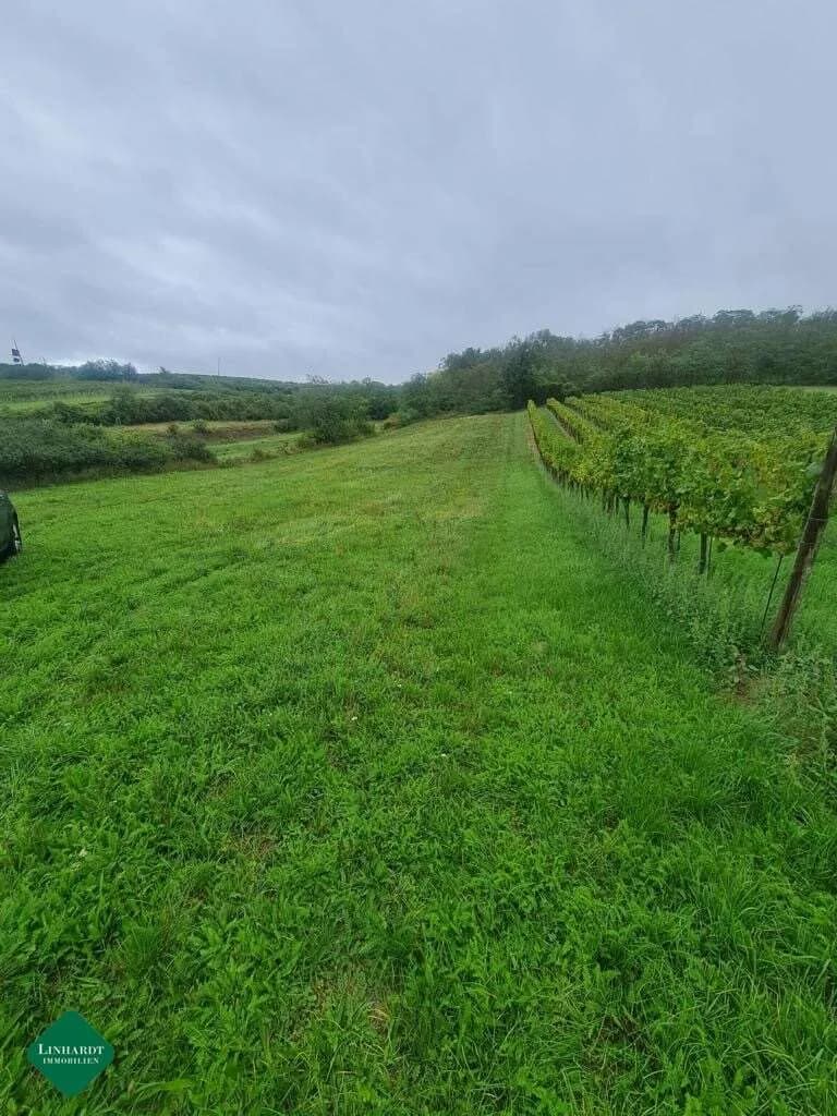 Grundstück kaufen in Gänserndorf – 2 400 m², € 35.000 – Bild 4 von 7