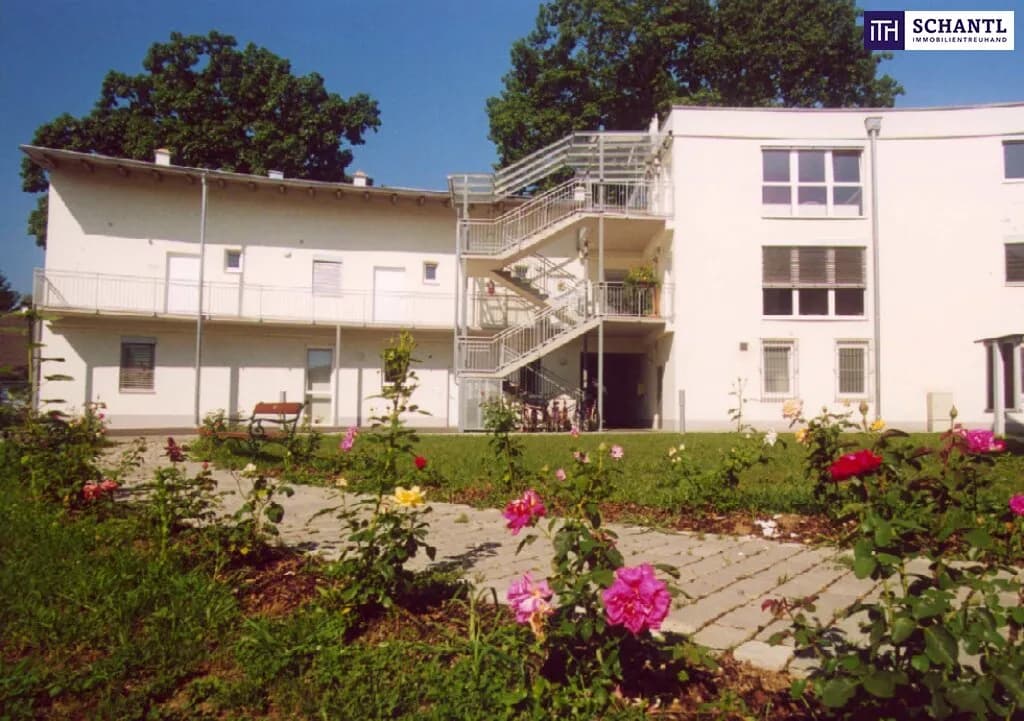 Immobilie kaufen in Leibnitz – 336,54 m², € 750.000